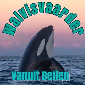 Nu live: Walvisvaarder